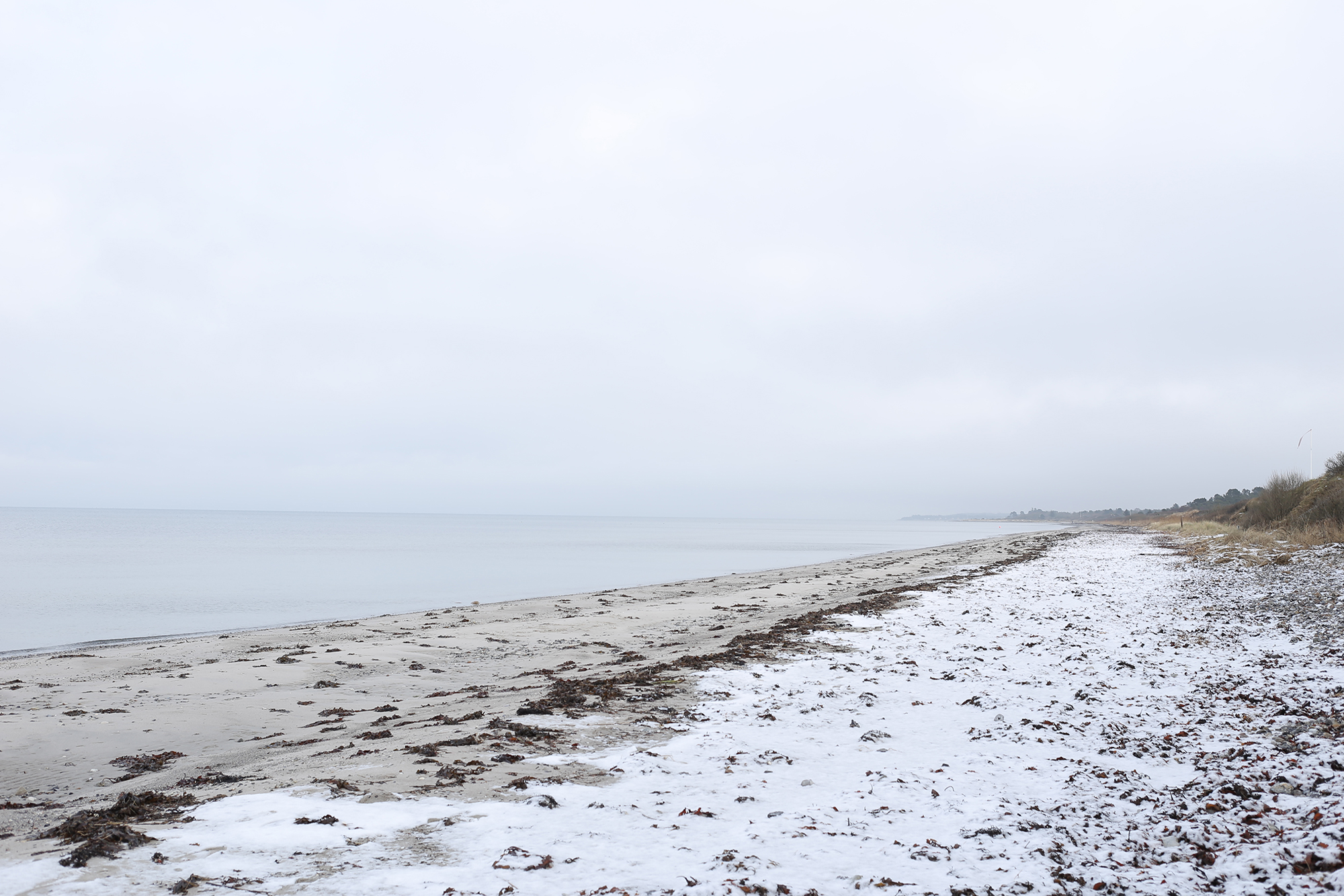 A desaturated color photograph of snow on a beach.